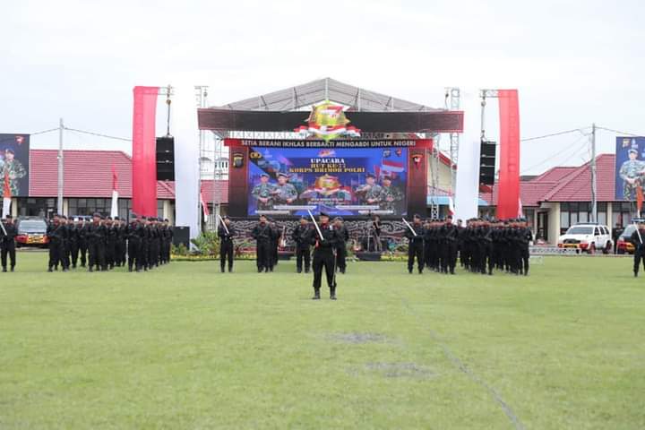 IMG-20221114-WA0042