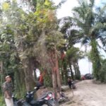 IMG-20221217-WA0025
