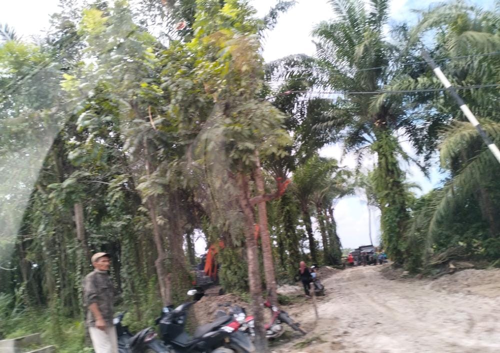 IMG-20221217-WA0025