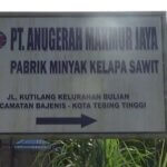 IMG-20230111-WA0010