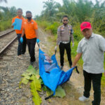 IMG-20230331-WA0081