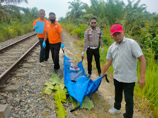 IMG-20230331-WA0081