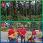 IMG-20230809-WA0018