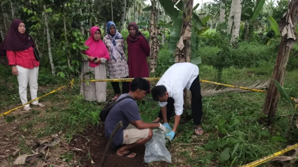 penemuan