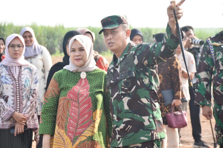 WhatsApp Image 2024-06-10 at 19.34.55