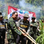 direktur-narkotika--fotor-20240624122940