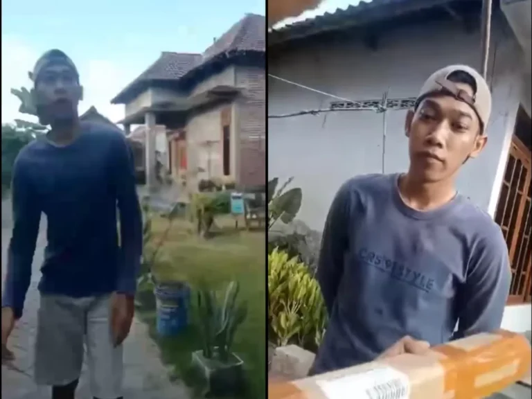 paket cod