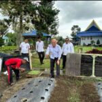 WhatsApp Image 2025-03-19 at 17.31.58