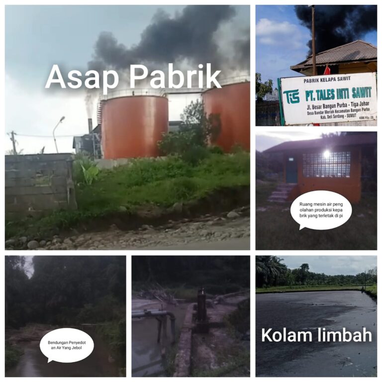 WhatsApp Image 2025-05-15 at 10.51.03_0581f695